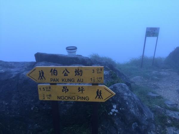 茶农称赤脚踩茶叶是传统工艺，这种传统工艺你能接受吗？